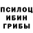 Псилоцибиновые грибы прущие грибы Spyro Veorra
