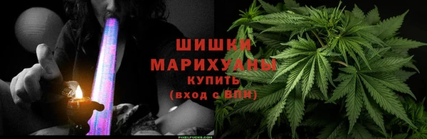 стафф Коряжма
