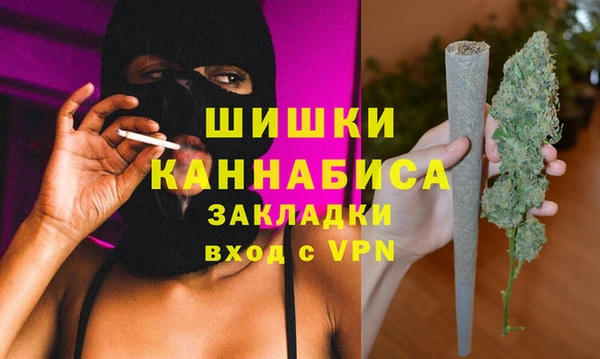 стафф Коряжма