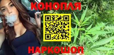 мяу мяу мука Заводоуковск