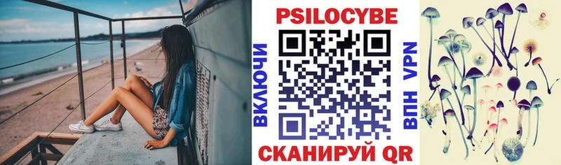 Галлюциногенные грибы Cubensis  Северодвинск 