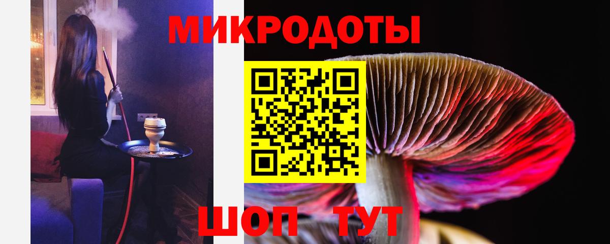 Псилоцибиновые грибы прущие грибы Северодвинск