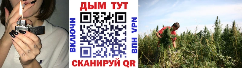 Бошки марихуана Amnesia  Северодвинск 